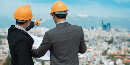 ȫ������ѯ