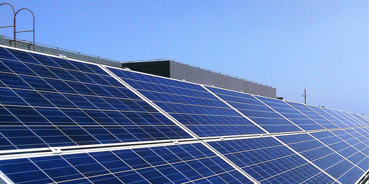 �������̼���