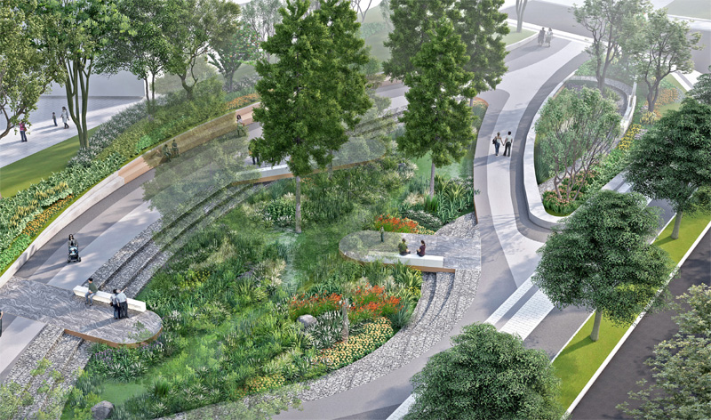 ��ϵ����