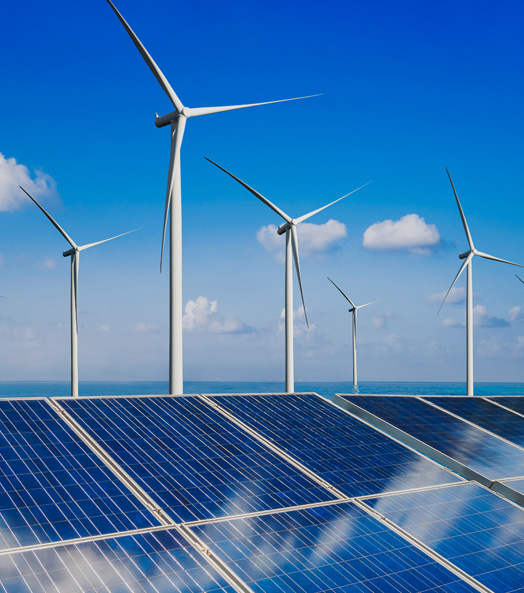 �������̼���