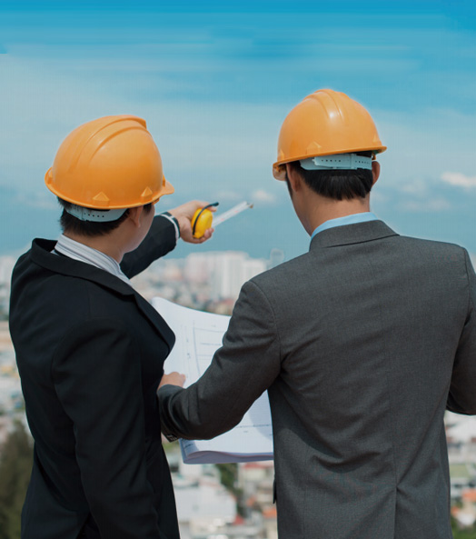 ȫ������ѯ